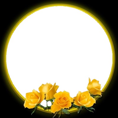 circulo y rosas amarillas. Фотомонтаж
