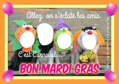 mardi gras Fotoğraf editörü