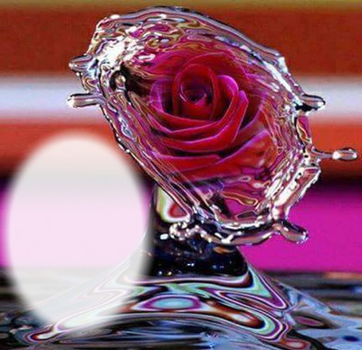 rose glacée Photomontage