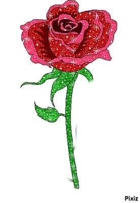 rose love Fotomontaža