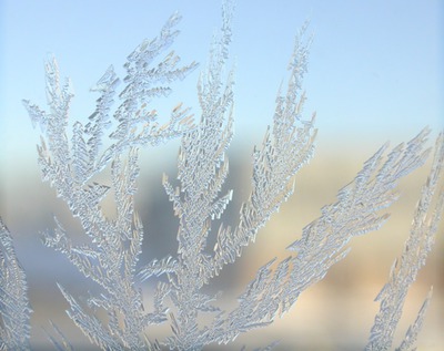 frozen window Photo frame effect