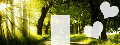 Leśny Krajobraz (Poprawiony) Photo frame effect