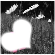 coeur dans les fleurs Фотомонтажа