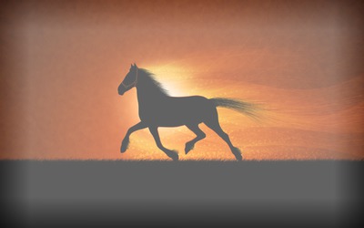 cheval levant Фотомонтажа