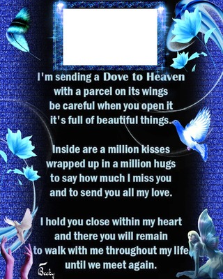 sending a dove to heaven Photo frame effect