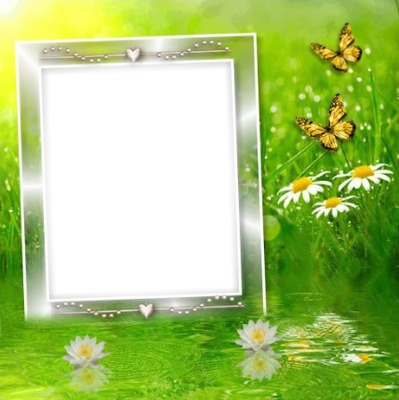 Frame Flowers and butterfly Photo frame effect