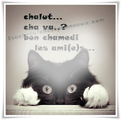 Photo Montage Samedi Pixiz
