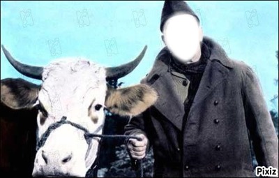 la vache & le prisonnier Photo frame effect