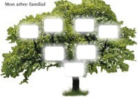 arbre généalogique Fotomontage