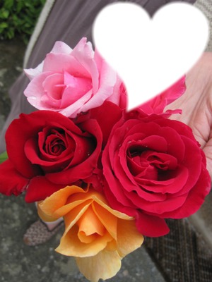 bouquet roses Φωτομοντάζ