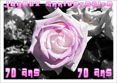 ROSE 70ANS Montage photo