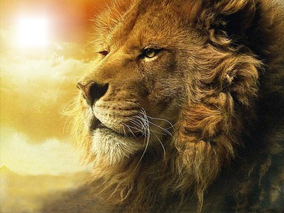 Lion Fotomontaż
