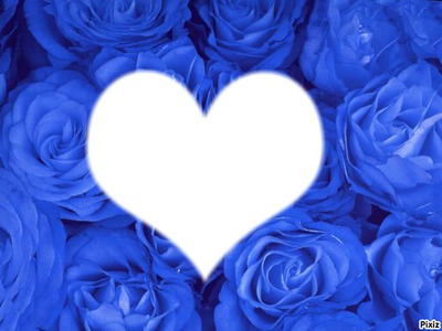 rose bleue Фотомонтажа