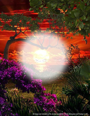 amazing sunset Fotomontasje
