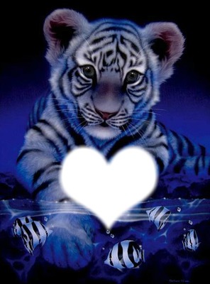 Tigre une passion Photomontage