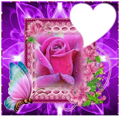 cadre violet avec rose Montage photo