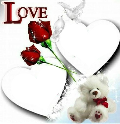 Love avec 2 roses / colombes et 1 ours 2 coeurs photos Fotomontáž