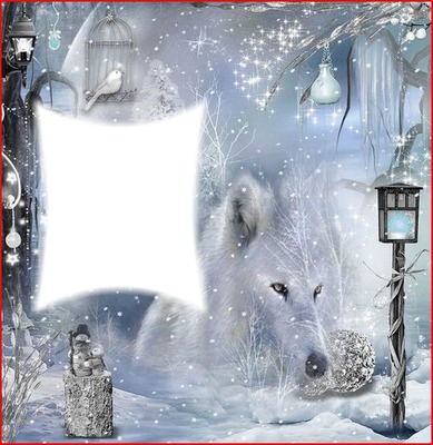 Loup hiver Fotomontage
