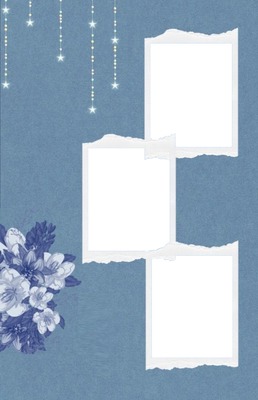 marco azul y flores. collage 3 fotos. Photo frame effect
