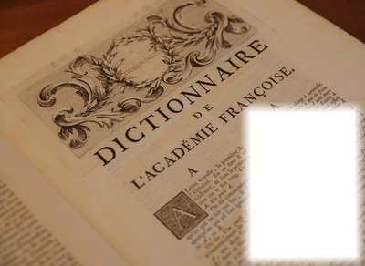 Dictionnaire - mots - livre Fotoğraf editörü