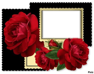 rose rouge Fotomontaggio