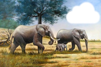famille d'elephants Fotomontāža