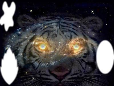 tigre universal Fotomontaż