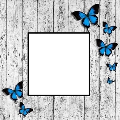 marco sobre madera y mariposas azules. Fotomontagem