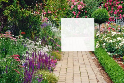 Garden Photo frame effect