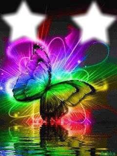 papillon multicolore Fotomontage