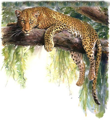 le léopard Photo frame effect