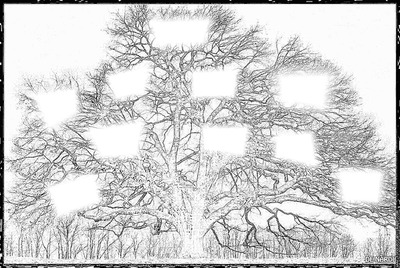 arbre genealogique Fotomontāža