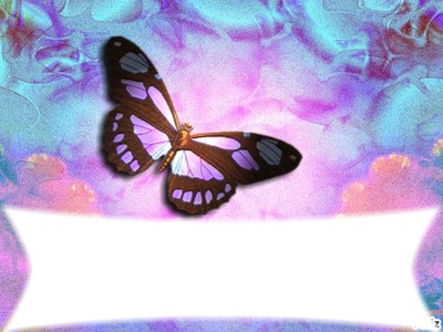 papillon Fotoğraf editörü