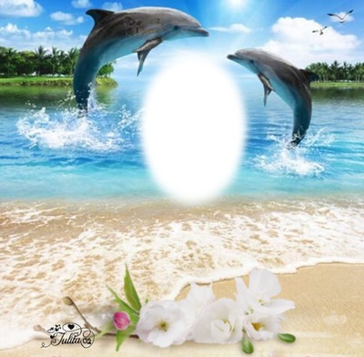 Julita02 Delfines Fotomontagem