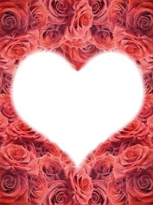rosas de amor Montaje fotografico