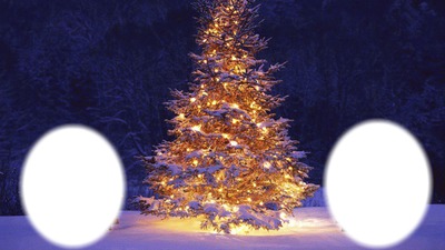 Christmas tree Fotomontagem