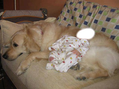 niño durmiendo en perro Valokuvamontaasi
