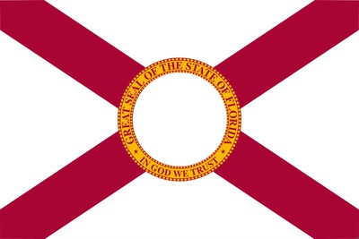 Florida flag Valokuvamontaasi