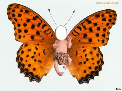 papillon Φωτομοντάζ