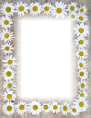 daisy frame Photo frame effect