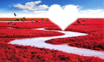 corazon con flores Photomontage