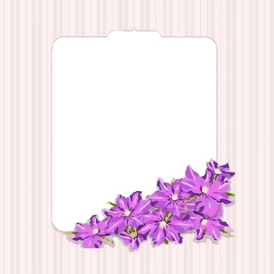 marco rayas y flores lila. Fotomontaža