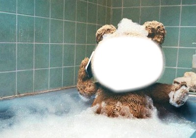 TED L'OURS Photomontage