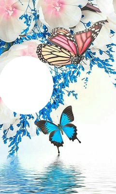 butterflys Fotomontage