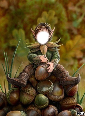 petit elfe du bois Fotomontāža