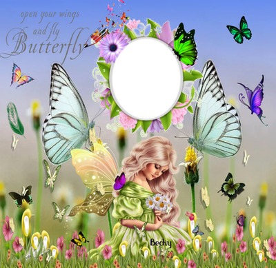 fly butterfly Photo frame effect