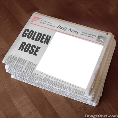 Daily News for Golden Rose Photo frame effect