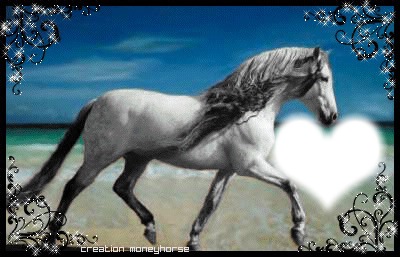 cheval Fotomontaggio