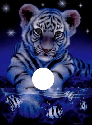 tigre bleu Fotómontázs
