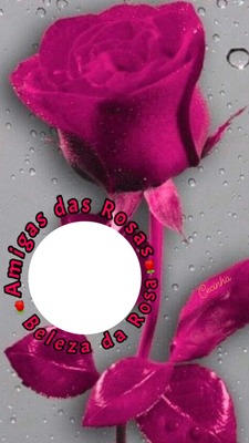 Rosas Mimos de Cecinha Photomontage